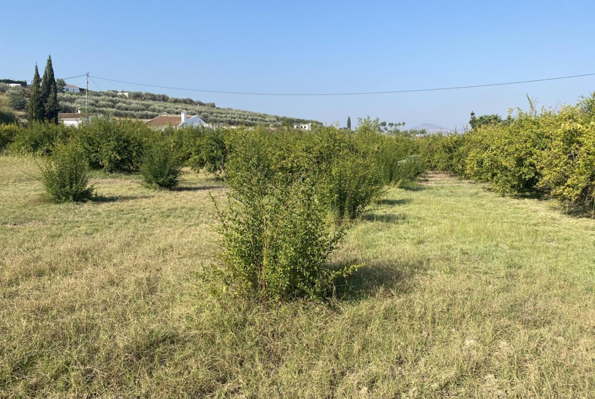 Propiedad gestionada por HOLA! Spain - Terreno en Alhaurín el Grande