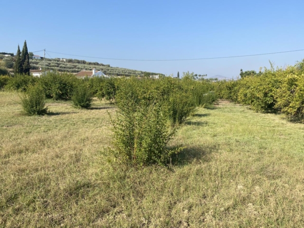 Propiedad gestionada por HOLA! Spain - Terreno en Alhaurín el Grande