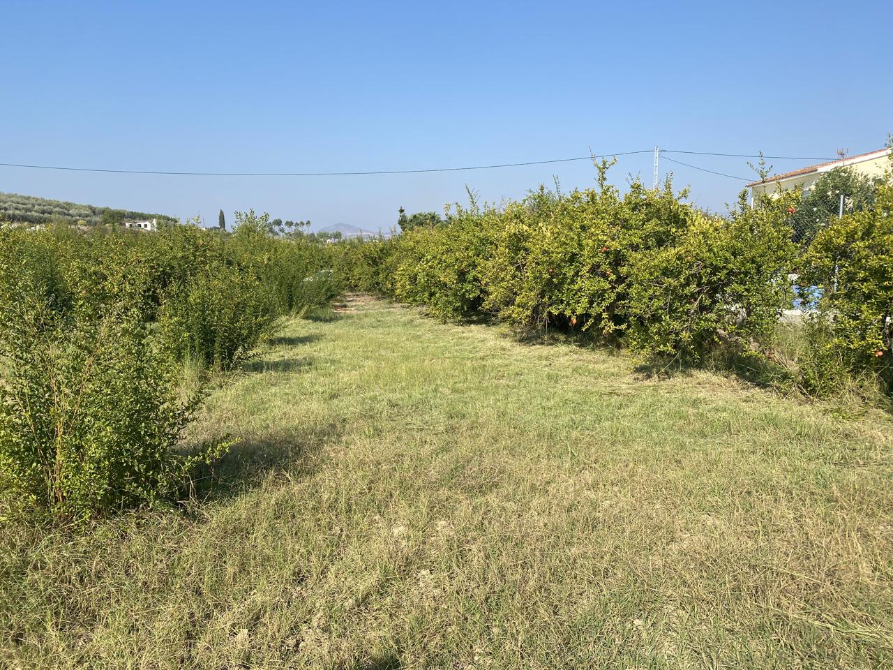 Propiedad gestionada por HOLA! Spain - Terreno en Alhaurín el Grande