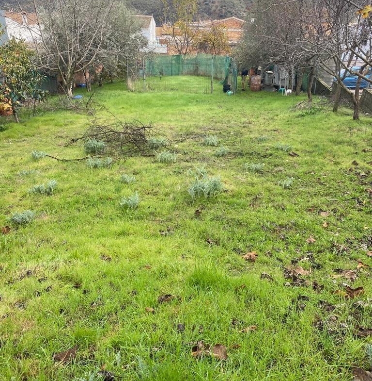 Propiedad gestionada por HOLA! Spain - Terreno urbano en A las afueras (Villanueva de Tapia)