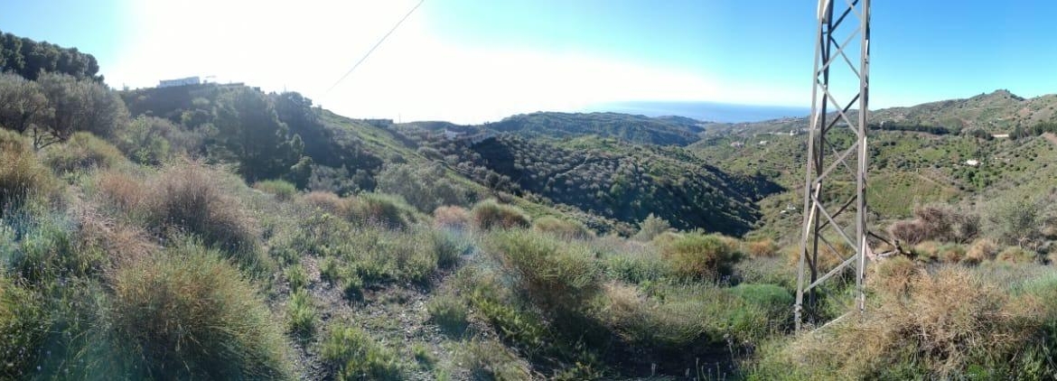 Propiedad gestionada por HOLA! Spain - Terreno rural en Moclinejo (Moclinejo)