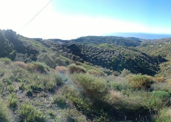 Propiedad gestionada por HOLA! Spain - Terreno rural en Moclinejo (Moclinejo)