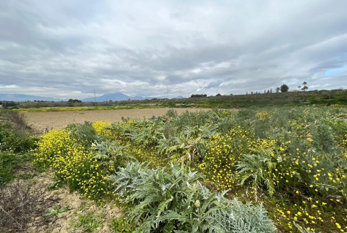 Propiedad gestionada por HOLA! Spain - Terreno rural en Villafranco del Guadalhorce (Alhaurín el Grande)