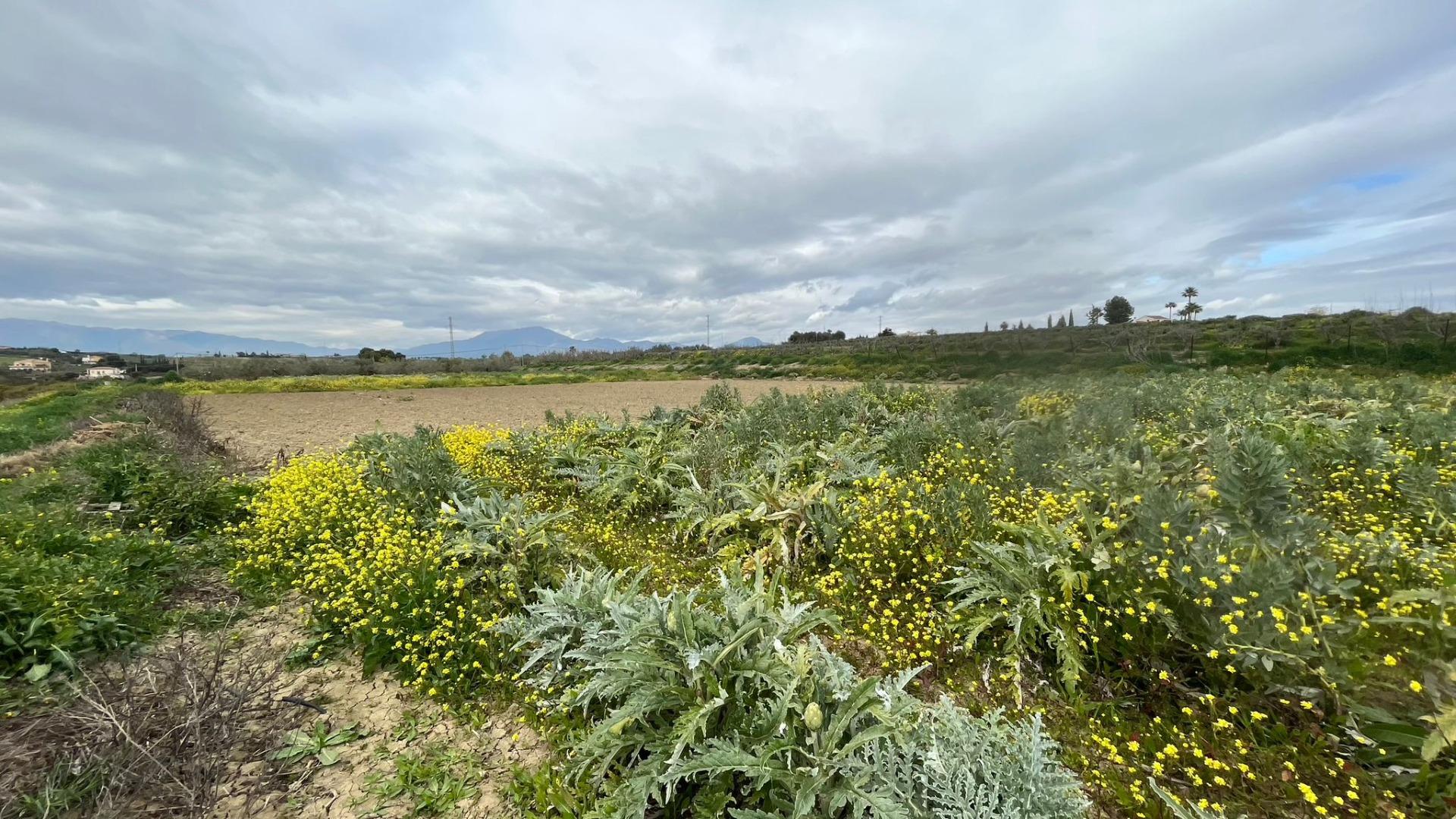 Propiedad gestionada por HOLA! Spain - Terreno rural en Villafranco del Guadalhorce (Alhaurín el Grande)