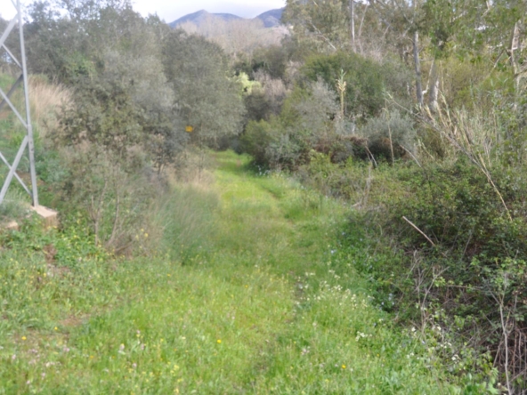 Propiedad gestionada por HOLA! Spain - Terreno rural en Las Lomas (Alhaurín el Grande)