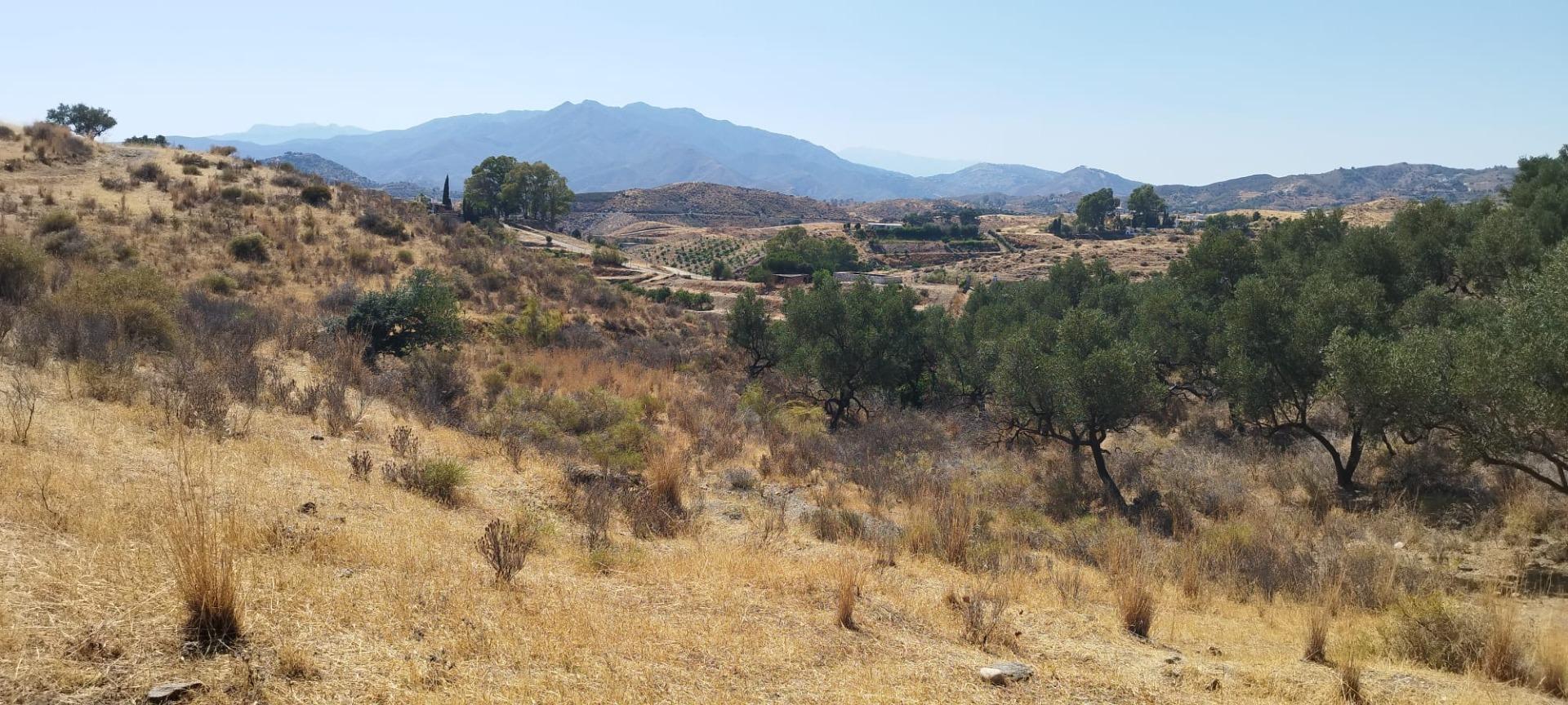 Propiedad gestionada por HOLA! Spain - Terreno rural en Valtocado (Mijas)