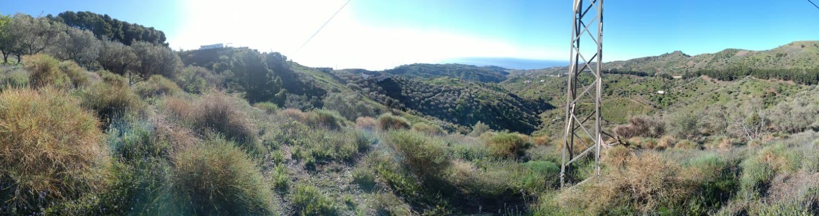 Propiedad gestionada por HOLA! Spain - Terreno rural en Moclinejo (Moclinejo)