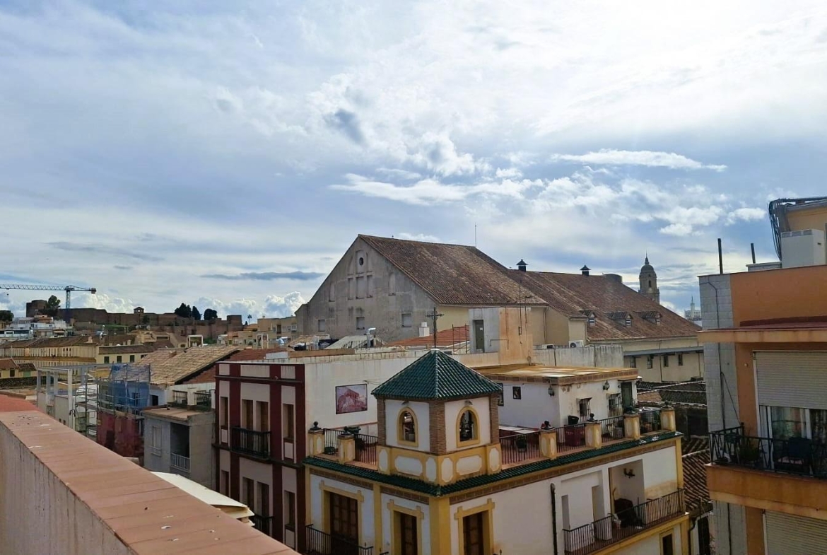 Propiedad gestionada por HOLA! Spain - Piso en Centro (Málaga)