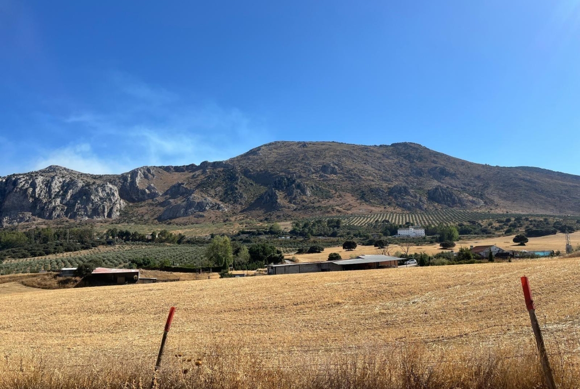 Propiedad gestionada por HOLA! Spain - Cortijo en Zona Cueva de Menga (Antequera)