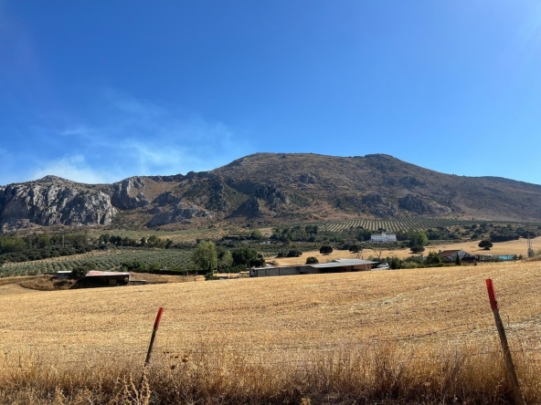 Propiedad gestionada por HOLA! Spain - Cortijo en Zona Cueva de Menga (Antequera)