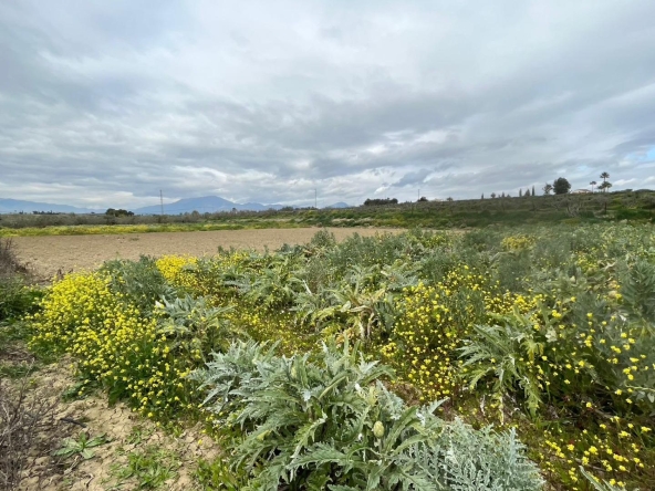 Propiedad gestionada por HOLA! Spain - Terreno rural en Villafranco del Guadalhorce (Alhaurín el Grande)