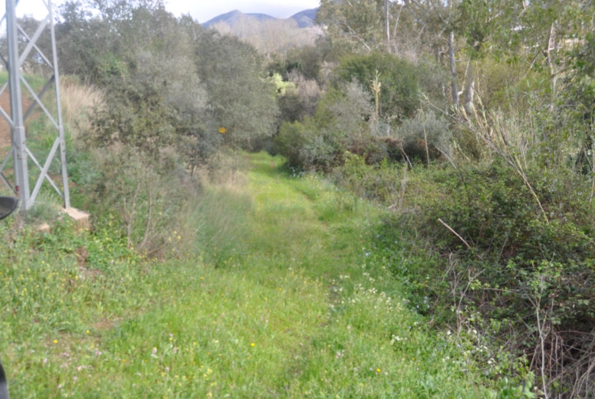 Propiedad gestionada por HOLA! Spain - Terreno rural en Las Lomas (Alhaurín el Grande)